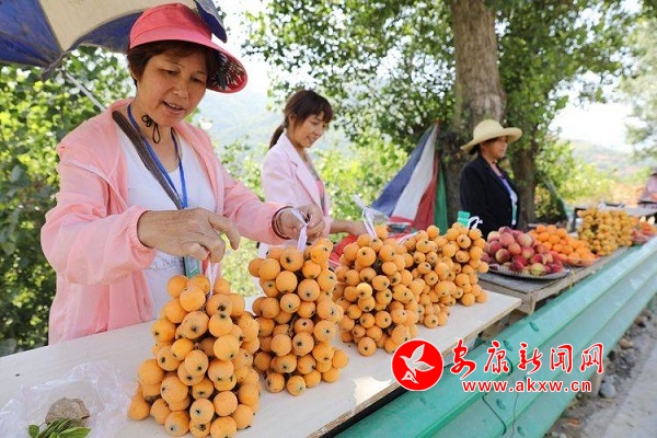 枇杷6.jpg