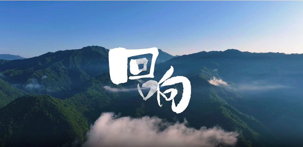 QQ20250329-083655.png