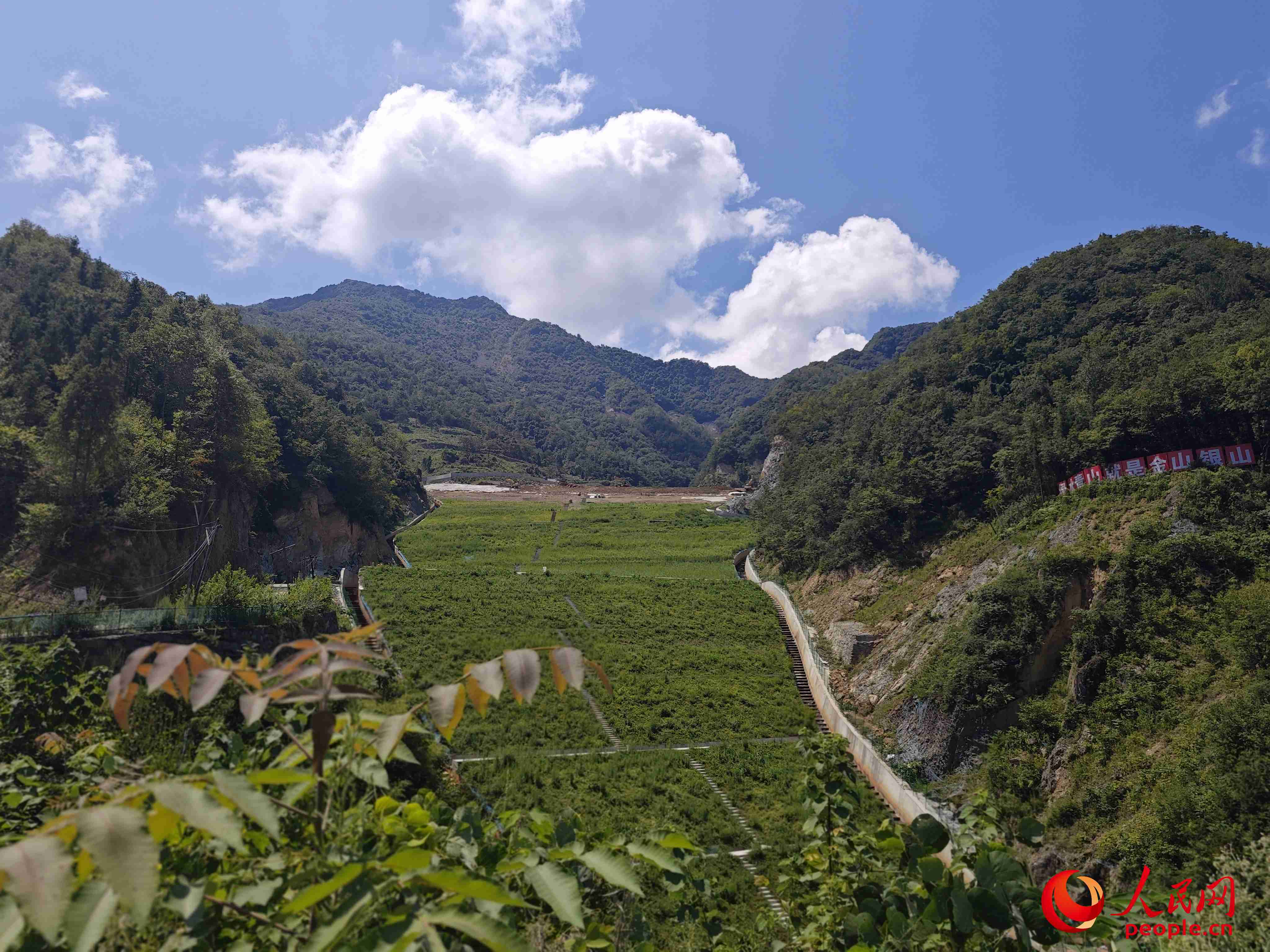 已部分復(fù)綠的貯存場。人民網(wǎng)記者 黃鈺攝